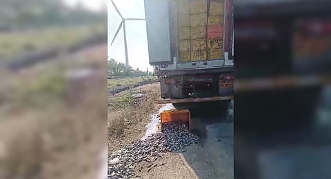 A fish truck was caught by the public at Gomangalam near Pollachi on Monday while discharging the fish waste at open.