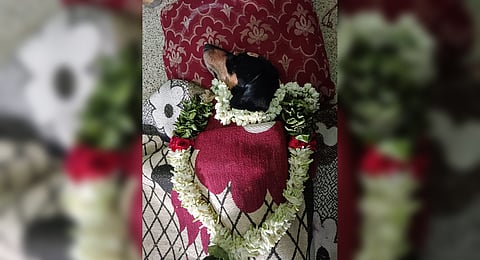 A family performed last rituals to a dog at Maninagar in Mettupalayam on Tuesday evening. 