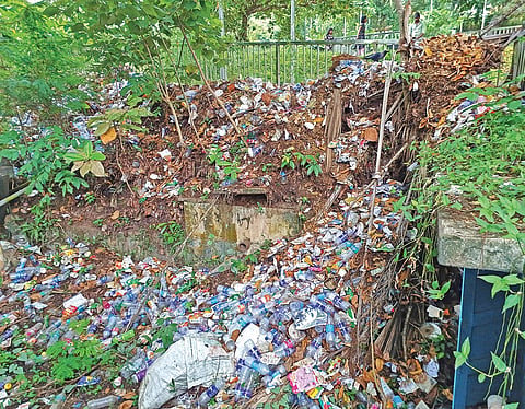 Plastic waste piled up inside Captain Lakshmi Park at Thiruvananthapuram 
Museum Junction