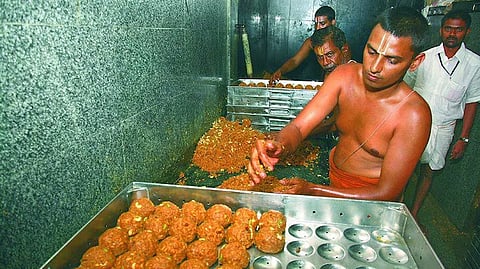Lab report confirmed the presence of animal fat in Tirupati laddoos 