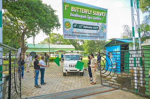 Renowned for hosting the highest number of tigers in ‘Tiger State’ Madhya Pradesh, the Bandhavgarh Tiger Reserve (BTR) has now ventured into the world of vibrant butterflies. 