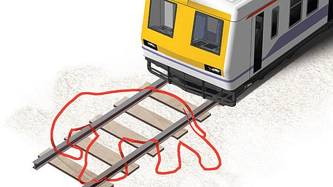 Express illustration