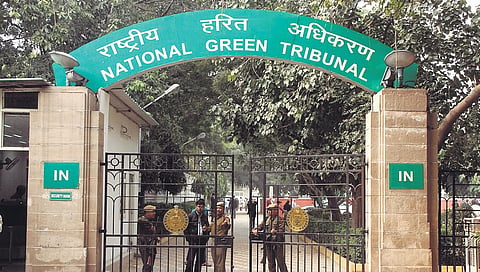 NGT bins plea challenging judge’s son as amicus curiae in water pollution case 
