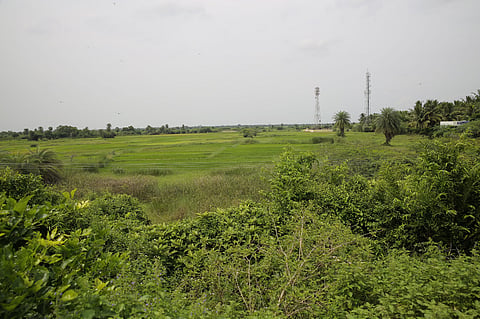 According to the current airport plan, two runways are set to be built upon the village and the neighbouring water bodies. 