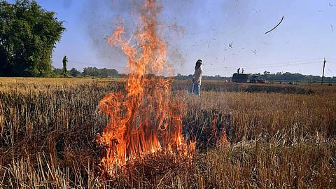Image used for representation