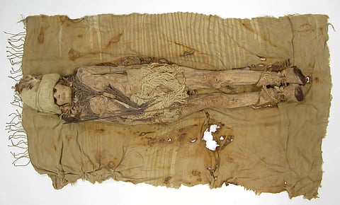 World's oldest cheese discovered in 3,600-year-old Chinese coffin
