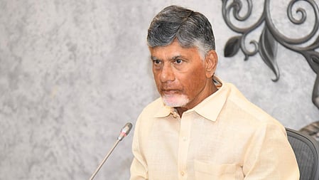 CM Nara Chandrababu Naidu 