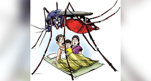 Dengue may emerge as a bigger menace in near future, says WHO