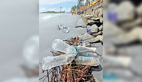 Plastic junk along the shoreline 