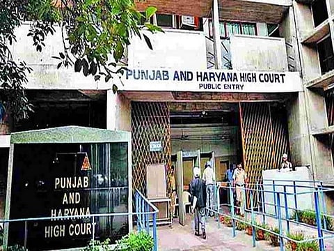 Punjab and Haryana High Court has dismissed an anticipatory bail plea of a Nuh man, accused of transporting cows for slaughter, stating that the cow is a pious animal.