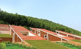 Alleging gross irregularities in management of Mangalajodi nature camp run by Forest department.