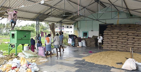 As of October 15, the Tamil Nadu Civil Supplies Corporation (TNCSC) has procured 69,171 tonnes of paddy. 