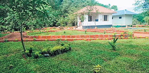 Nagar Van botanical garden at Valliyad 