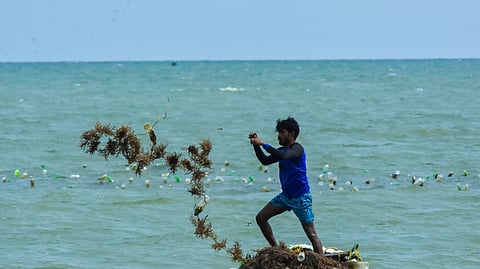 Representational image of fisherman cultivating seaweed at Mullakadu in Thoothukudi, Tamil Nadu. 