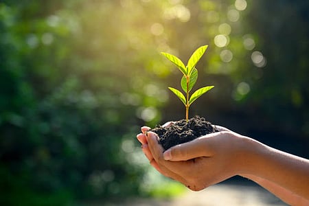 Chhattisgarh first state to link forest ecosystem with Green GDP