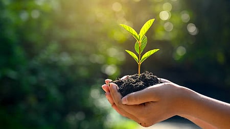 Odisha is among the handful of states to have achieved an overall growth in forest size but the positive news fails to betray the fact that several tribal districts have lost green cover.