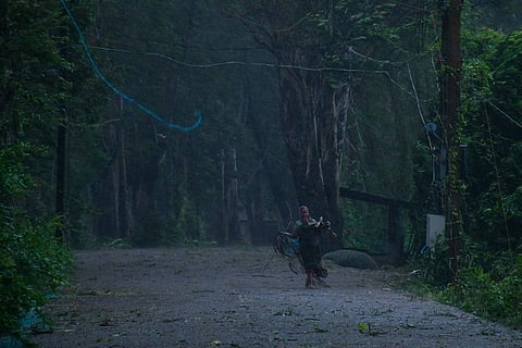 A woman collects firewood after cyclone Dana made landfall near Chandipur beach in Balasore district on Friday. 
