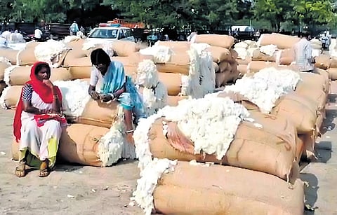 Cotton farmers protest at Enumamula Agricultural Market in Warangal on Friday