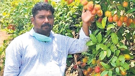 Lohith not only manages his own farm and nursery but also helps other people start their own ventures. 