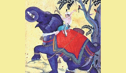 The elephant that was captured twice