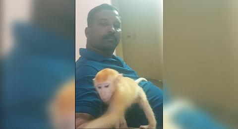 S Ravikumar
