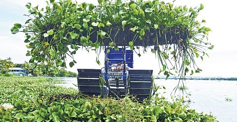 The newly acquired weed harvester’s trials near Vaduthala have been successful 