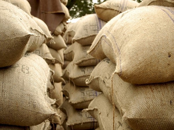 Punjab Cabinet relaxes paddy milling norms amid 280 LMT storage crisis