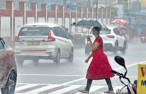 Perungudi in Chennai recorded the highest rainfall of 8 cm in the 24 hours till 
8.30 am on Tuesday