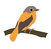 Tamil Birders Network 