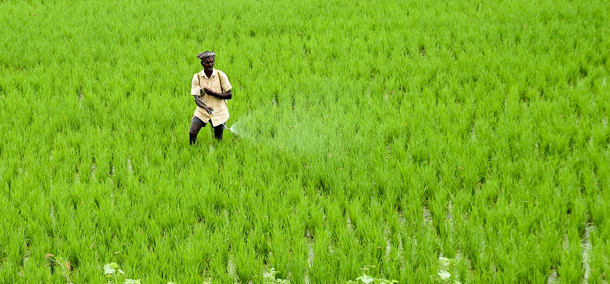 New tech ready to recharge soil carbon levels, fertility in Bengaluru
