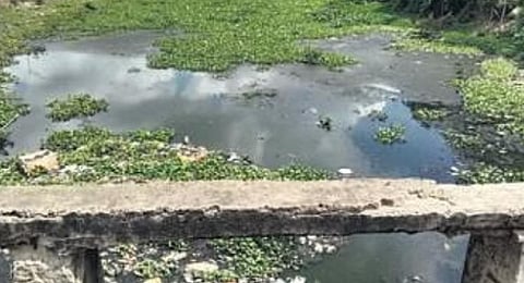 A clogged and polluted Petanala water channel in Cuttack.