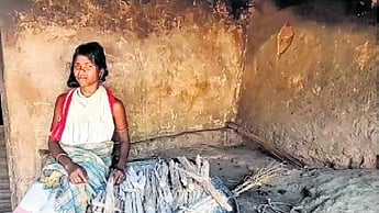 The Dongrias used to subsist on forest produce and shifting cultivation while a few also work as daily wage labourers.