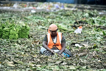 Indore is set to take a major step towards environmental sustainability with the launch of the country’s first PPP model-based green waste processing plant under the SBM-U.
