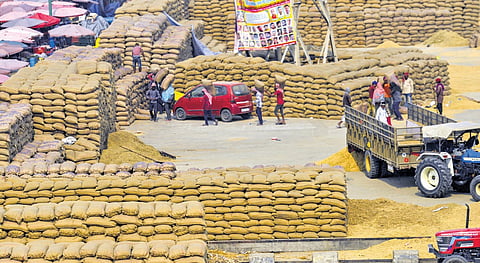 Making of a mega paddy
procurement crisis 