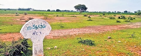 A housing plot on the assigned patta land 