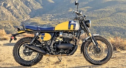 Bear 650