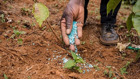 For June 2025, the Centre has allocated 2.35 lakh tonnes to Andhra Pradesh to maintain consistent availability. Distribution is being carried out through RSKs, cooperatives, and private dealers. 