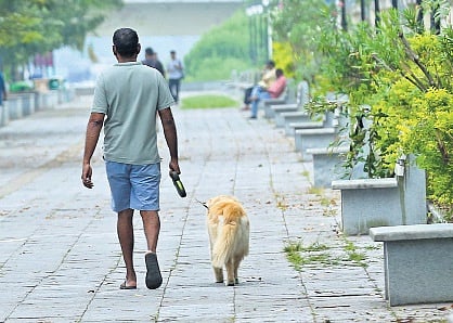 Representational image | T P Sooraj 