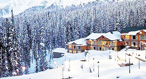 Snow in higher reaches of J&K beckons tourists