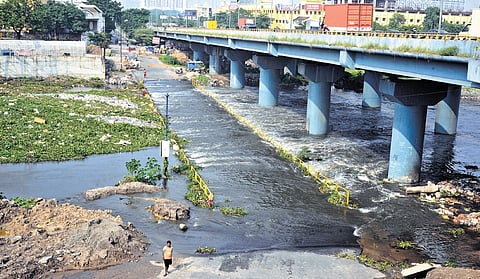 Cooum river in full flow near Maduravoyal on Saturday 