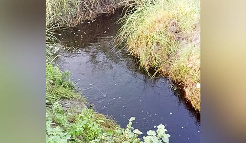 The mill often releases effluents into the Peruvalai and Panguni irrigation canals, say farmers.