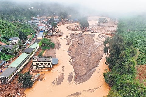 Wayanad landslide