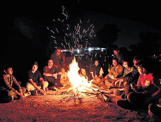 Govt to introduce trekking in national parks and forests