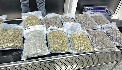 The marijuana packets seized from the accused