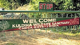 Kuldiha Wildlife Sanctuary 