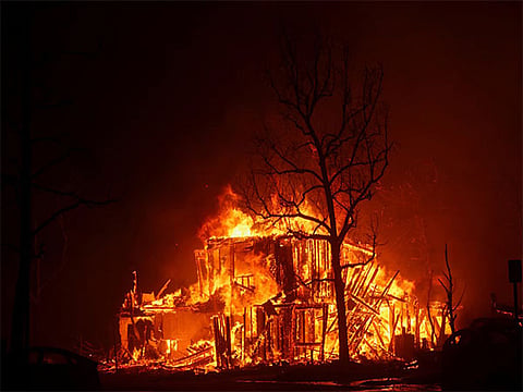 in wildlife sanctuaries, a total 1,568 fire points have been recorded so far