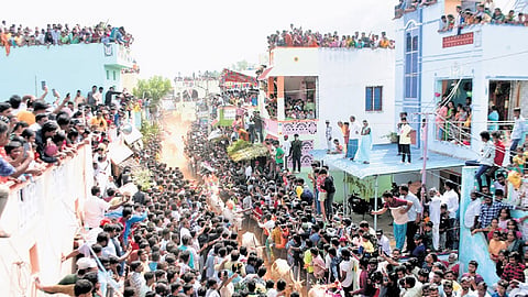 Thousands witnessed Pasuvula Panduga organised in Chittoor district on the occasion of Kanuma 