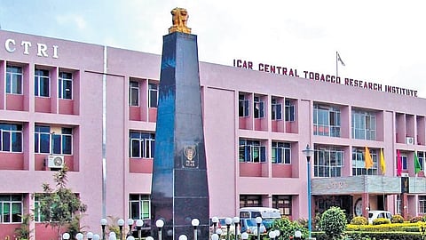 Central Tobacco Research Institute 