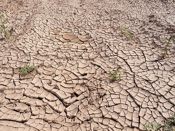 Study Names Tamil Nadu a Major Drought Hotspot in India