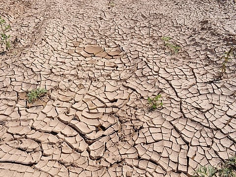Tamil Nadu has emerged as one of the pronounced drought hotspots as the South Peninsular India (SPI), among the four major climatic regions in the country